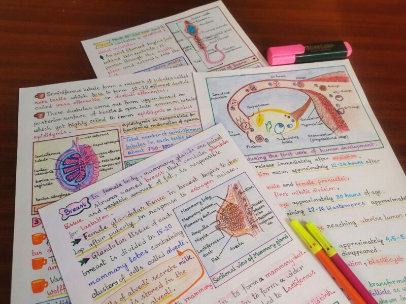 reproduction diagrams in biology aesthetic notes sample 11 with creative stuff include in photo of physical copy