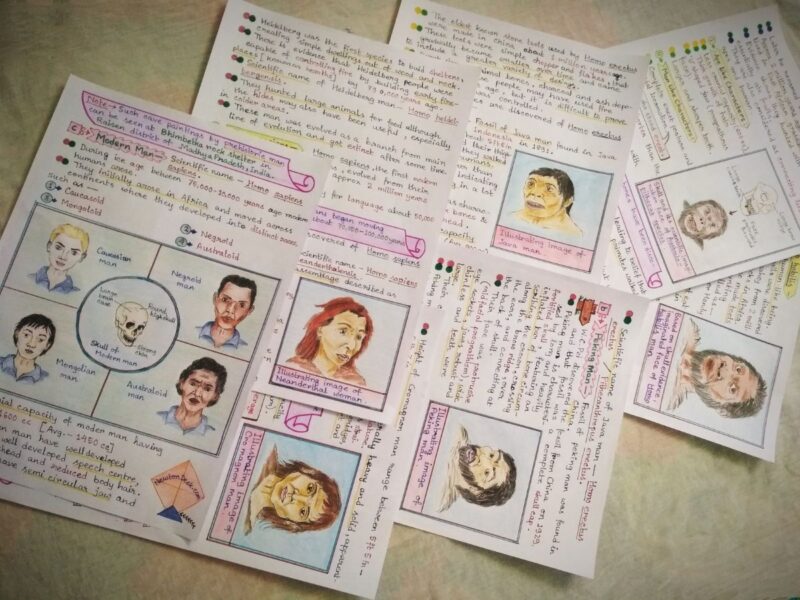 genetics and evolution diagrams in biology aesthetic notes sample 13 with creative stuff include in photo of physical copy