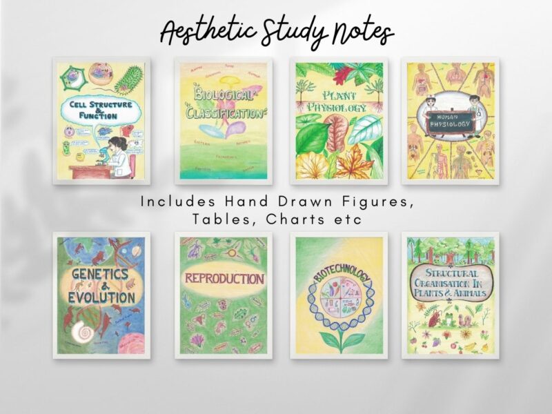 biology aesthetic notes sample 5 with horizontal pages hang on wall of newton desk