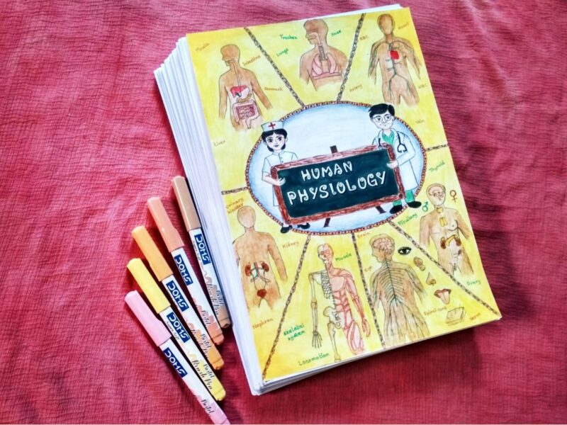 human physiology in biology aesthetic notes sample 7 with creative stuff include in photo of physical copy