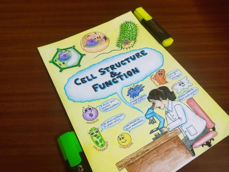 cell structures and function in biology aesthetic notes sample 9 with creative stuff include in photo of physical copy
