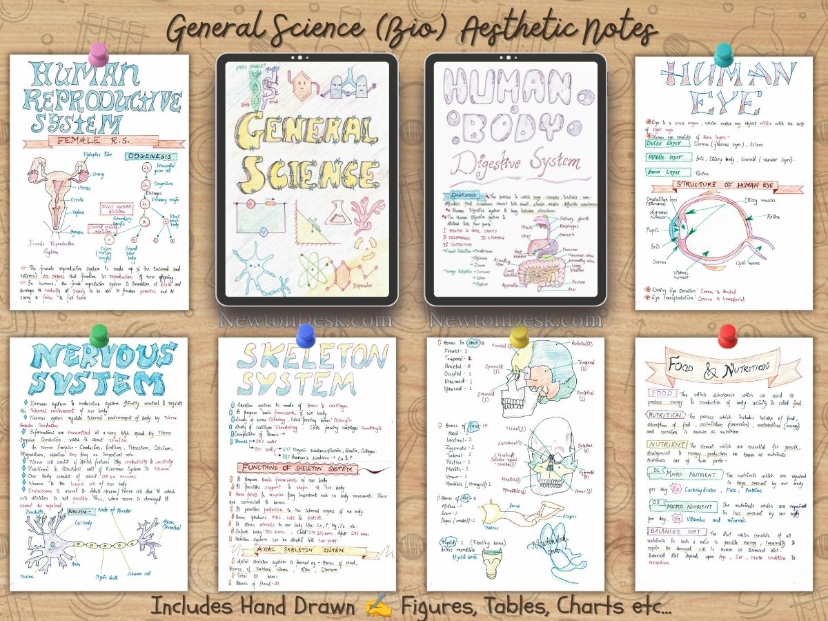 general science biology color handwritten aesthetic notes sample pages visible on ipad as goodnotes, specially for USA high school grade 9 and 10 GCSE