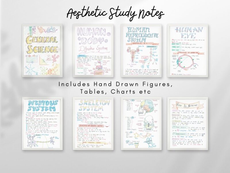 general science aesthetic notes sample 4 with horizontal pages hang on wall of newton desk