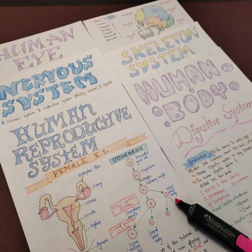 general science aesthetic notes sample 6 include photo of multiple heading on wooden texture of physical copy