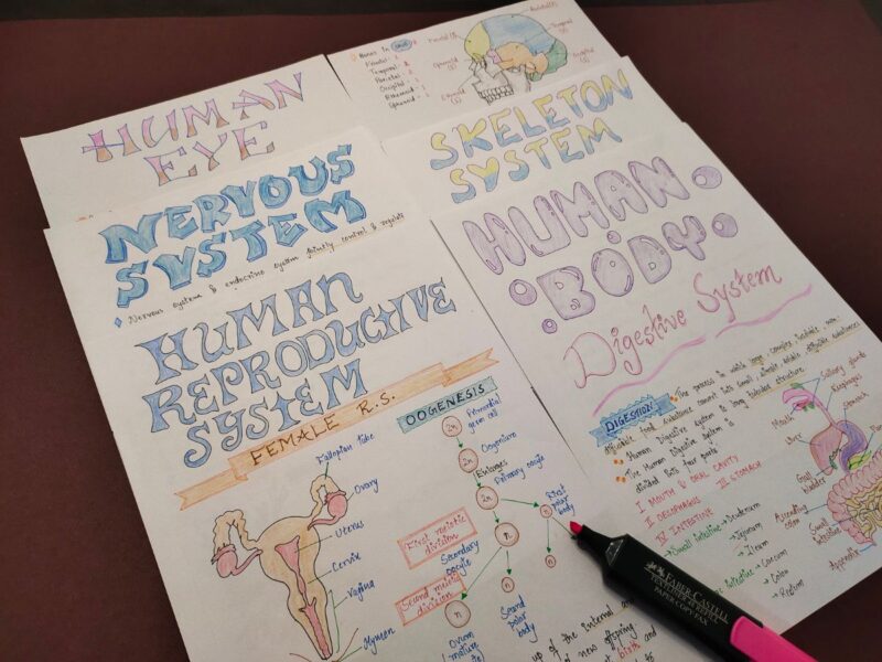 general science aesthetic notes sample 6 include photo of multiple heading on wooden texture of physical copy
