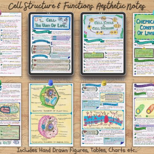 cell structure and function biology notes sample 1 in horizontal way on brown wooden texture background