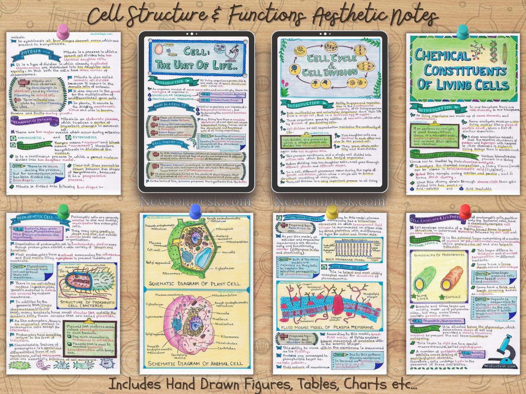 cell structure and function biology notes sample 1 in horizontal way on brown wooden texture background
