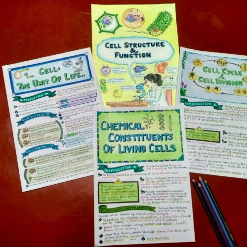 cell structure and function biology notes sample 2