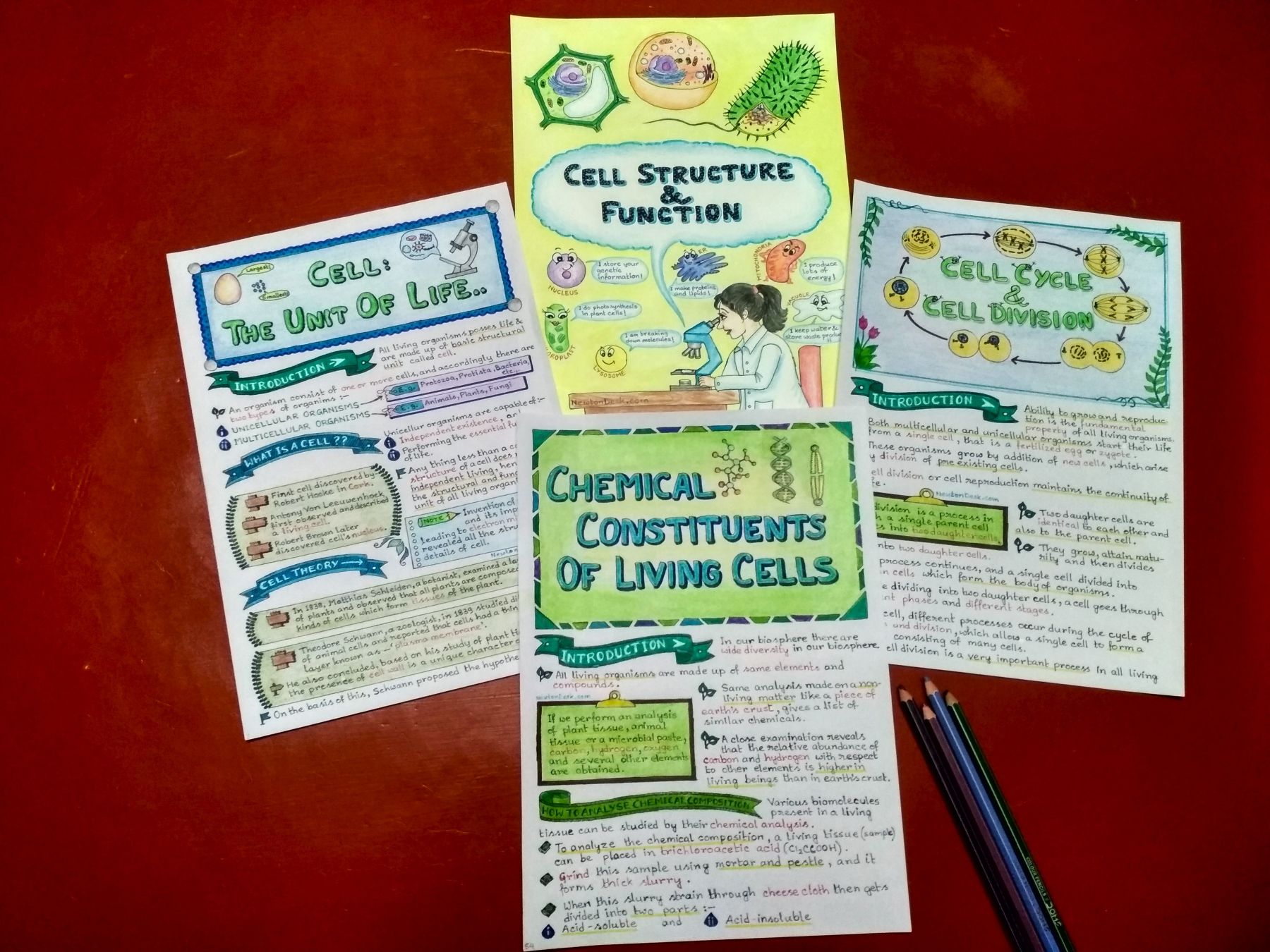 cell structure and function biology notes sample 2