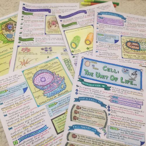 cell structure and function biology notes sample 3