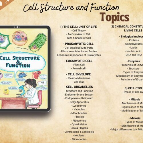 cell biology handwritten study notes index or syllabus for USA high school students A level