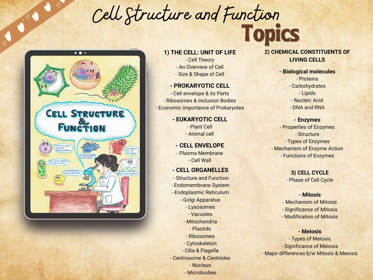 cell biology handwritten study notes index or syllabus for USA high school students A level