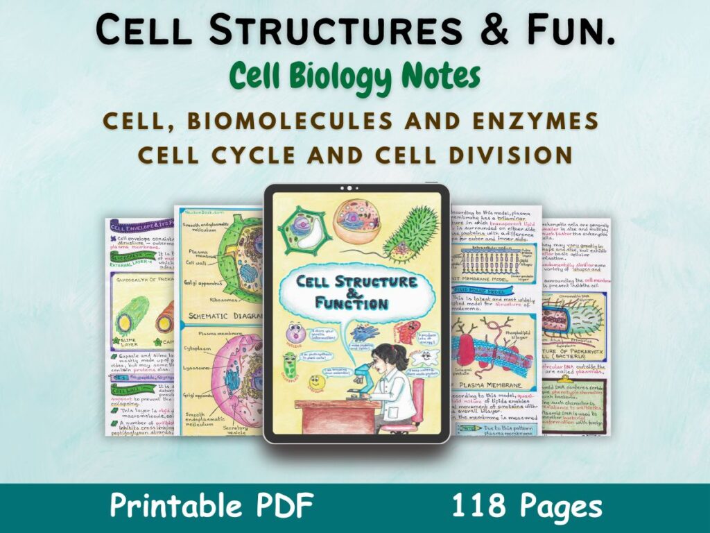 Cell Structure and Function Aesthetic Notes [PDF] | For High School ...