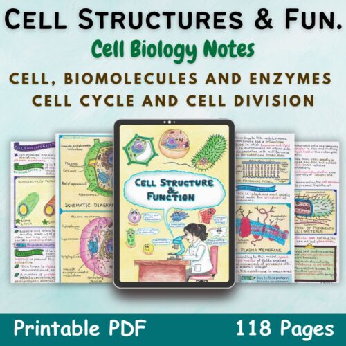 cell structure and function biology aesthetic notes for high school grade 11 first cover image in blue of newton desk
