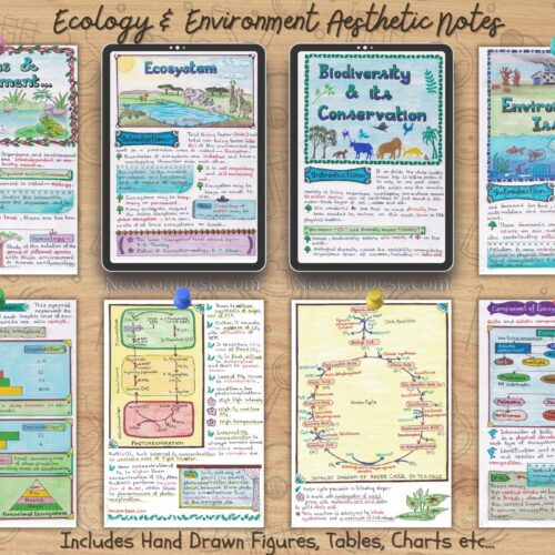 ecology in high school biology color handwritten notes samples images in ipad for easily read as goodnotes