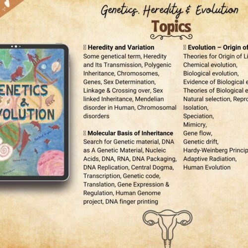 genetics heredity and evolution biology handwritten aesthetic notes index or syllabus for high school grade 12, IB in USA