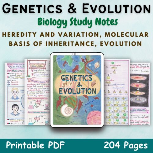 genetics and evolution biology aesthetic notes for high school grade 12 first cover image in blue of newton desk