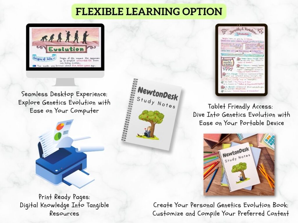 A Level Genetics & Evolution Notes PDF | Biology Revision | NewtonDesk