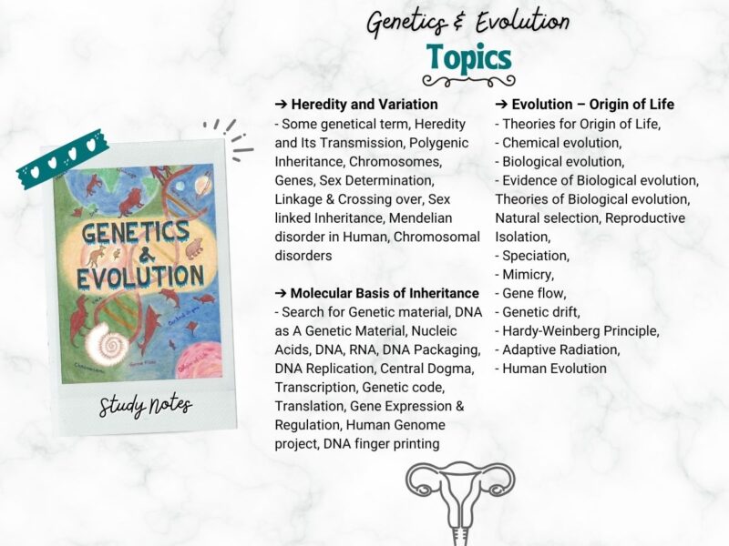 Grade 12 Evolution Notes.pdf A Level Genetics & Evolution Notes PDF | Biology Revision | NewtonDesk