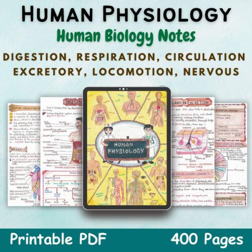 human physiology biology aesthetic notes for high school grade 11 first cover image in blue of newton desk