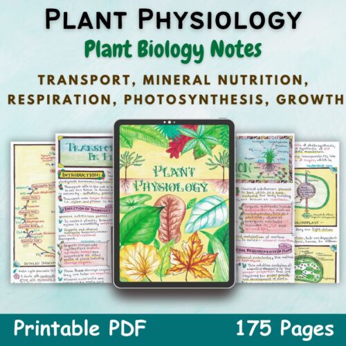 plant physiology biology aesthetic notes for high school grade 11 first cover image in blue of newton desk